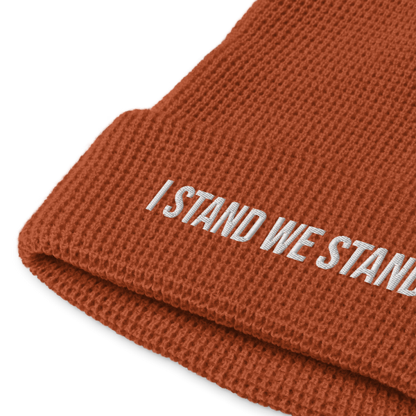 ISWS Waffle beanie